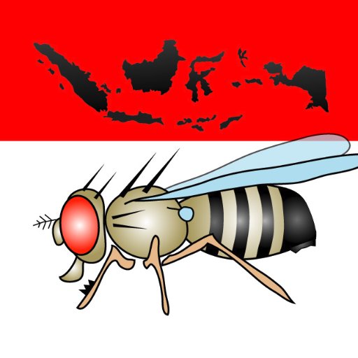 co-founder of Fly Indonesia (Building a community of Indonesian biomedical scientists that make use of Drosophila melanogaster)