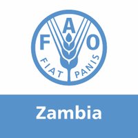 FAO Zambia (@faozambia) 's Twitter Profile Photo FAO Zambia (@faozambia) 's Twitter Profile Photo
