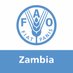 FAO Zambia (@FAOZambia) Twitter profile photo