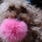 mitubou11's profile image