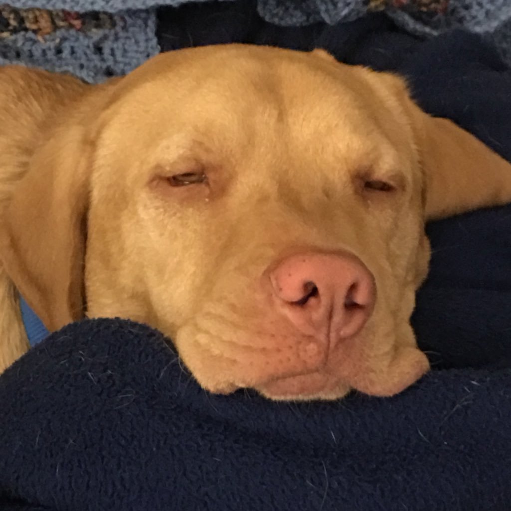 bob_beran_1221's profile picture. 