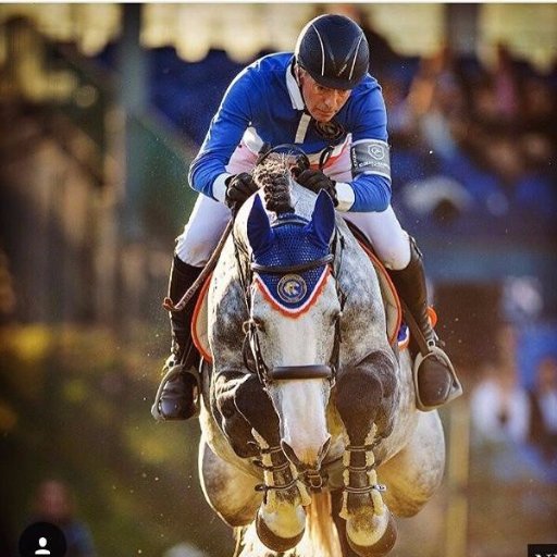 British equestrian and Olympian Showjumping champion John Whitakers Twitter