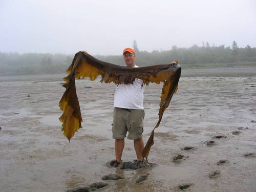 Teach Biology and Molecular Genetics at Milton Academy.