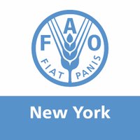 FAO in New York (@faonewyork) 's Twitter Profile Photo FAO in New York (@faonewyork) 's Twitter Profile Photo
