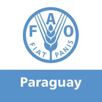 FAO Paraguay(@FAOParaguay) 's Twitter Profile Photo