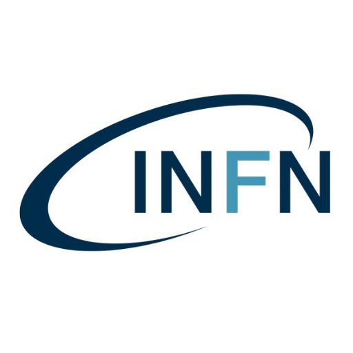 INFN_ Profile Picture