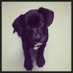 Mrs. Jacie Taylor (@taylor_jacie) Twitter profile photo Mrs. Jacie Taylor (@taylor_jacie) Twitter profile photo