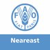 FAO in Near East and North Africa (@FAOinNENA_EN) Twitter profile photo