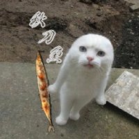 まるたつ (@maru_tatsu) 's Twitter Profile Photo まるたつ (@maru_tatsu) 's Twitter Profile Photo