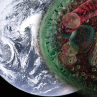 Cell Bio News (@cellbionews) 's Twitter Profile Photo