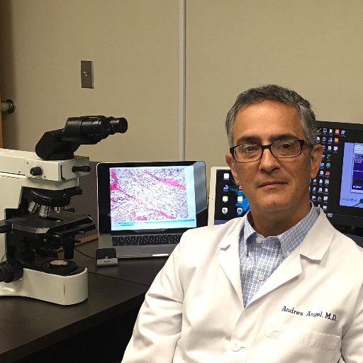 This is the account of Dr Andres Angel MD. @Andresangel3. I only tweet material related with anatomic and clinical path