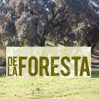DELAFORESTA (@delaforesta) 's Twitter Profile
