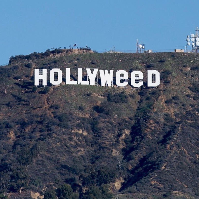 PA_traders's profile picture. 