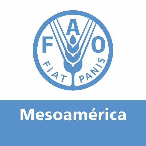Somos la Oficina de FAO para Mesoamérica y Panamá; y estamos trabajando para la transformación de los Sistemas Agroalimentarios.