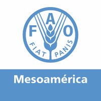 FAO Mesoamérica(@FAOMesoamerica) 's Twitter Profile Photo