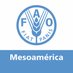 FAO Mesoamérica (@FAOMesoamerica) Twitter profile photo