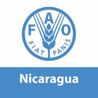 FAONicaragua(@FAONicaragua) 's Twitter Profile Photo