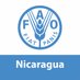 FAONicaragua (@faonicaragua) Twitter profile photo FAONicaragua (@faonicaragua) Twitter profile photo