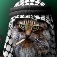 Islamicat 💣😾🕌 💥(@_Islamicat) 's Twitter Profile Photo