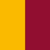 Uniti per La Roma (@unitiperlaroma) 's Twitter Profile Photo Uniti per La Roma (@unitiperlaroma) 's Twitter Profile Photo