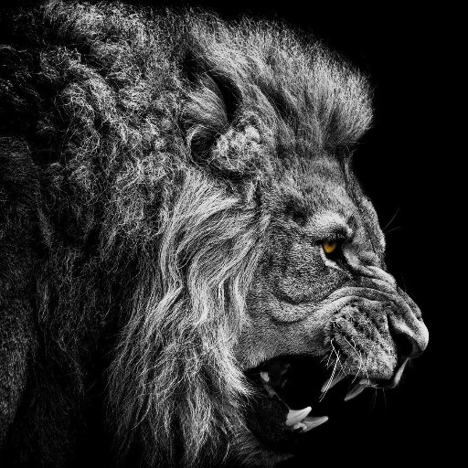 peterddetenamo1's profile picture. 