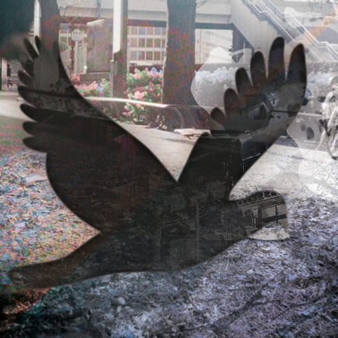 CTtoyo's profile picture. 東京在住のCMプロダクション社員。
日々面白い映像を探索中！