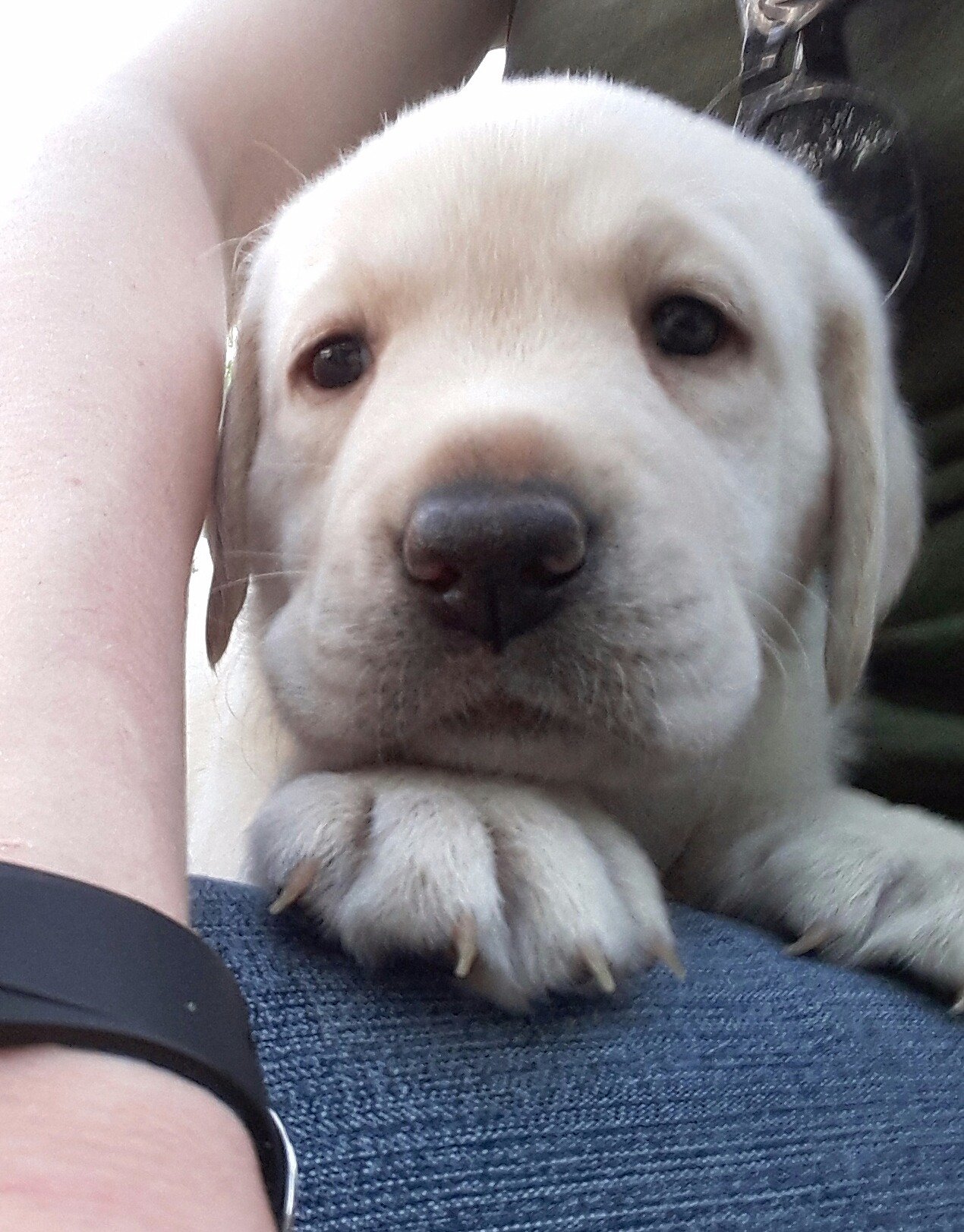 Sam_Dykema19's profile picture. I write stories, I love music, & I've spent a lot of time watching Australian shows about mermaids.