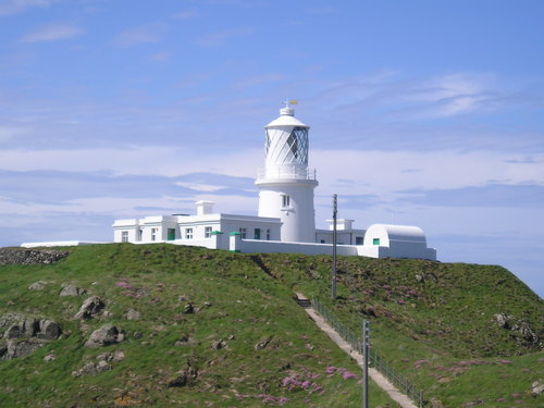 StrumbleHead
