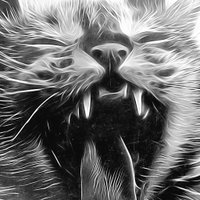 Trapcat Records (@trapcatrecords) 's Twitter Profile