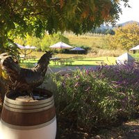 L'Avenir Wine Estate (@lavenirwines) Twitter profile photo