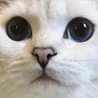 ?のプロフィール写真