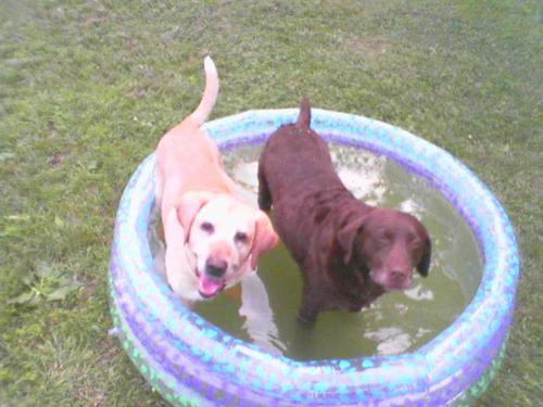 slipshodent's profile picture. Retired Farming 2 places, sawmill, woodworker, grandfather