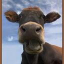 Sam Loest - @sam4root - Twitter