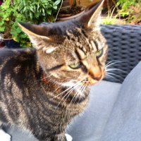 Mike (@ks_mikey) 's Twitter Profile Photo Mike (@ks_mikey) 's Twitter Profile Photo