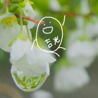 胴 (@4432mkt) 's Twitter Profile Photo