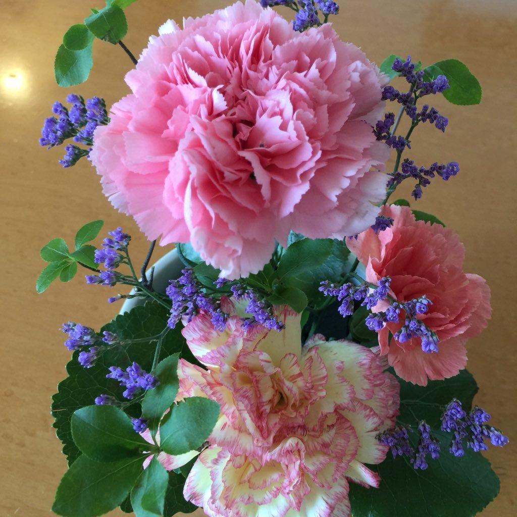 Tc57Yr3's profile picture. 毎日のお小遣いを、給料と一緒分ぐらい稼ぎましょう❣️❣️❣️❣️❣️❣️❣️❣️❣️❣️❣️