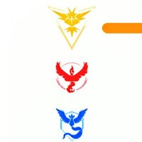 ポケモンGO東三河(豊橋、豊川など) (@bossy_pokego) 's Twitter Profile