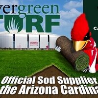 Evergreen Turf(@EvergreenTurfAZ) 's Twitter Profile Photo