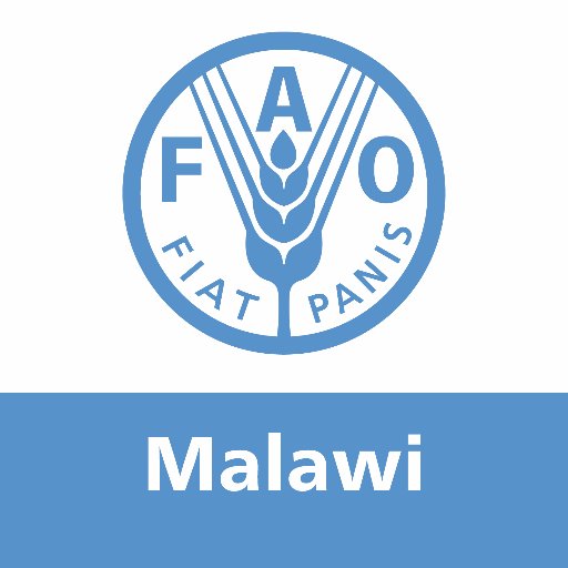 News & latest information from the Food and Agriculture Organization of the United Nations (@FAO) in #Malawi. 

Follow 👉🏽 @FAODG | @FAOAfrica