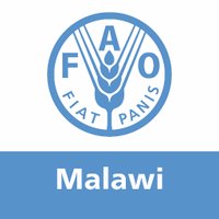 FAO Malawi (@faomalawi) 's Twitter Profile Photo FAO Malawi (@faomalawi) 's Twitter Profile Photo