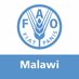 FAO Malawi (@faomalawi) Twitter profile photo FAO Malawi (@faomalawi) Twitter profile photo