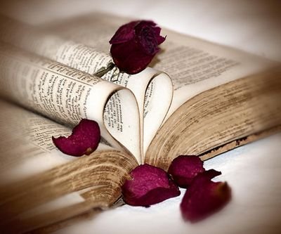 AmyConn500's profile picture. I'm a creative writing graduate. Love script writing and fiction and I'm now branching out with poems and non fiction. Also interested in publishing