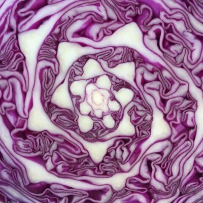 royalkustome's profile picture. Art Arts & Culture Classic Rock Design & Architecture Entertainment Literature Movies Music Photography