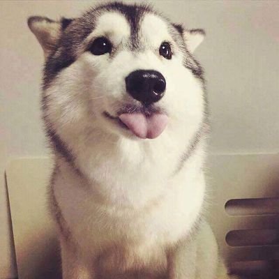 clodesc's profile picture. 