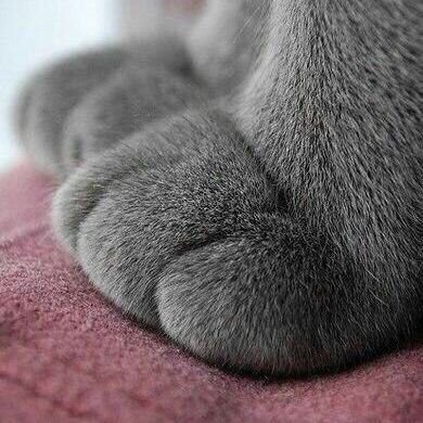 myjaeja's profile picture. นามปากกา : myjaejae, บ่นเรื่องไร้สาระ, พูดคนเดียว, ปี2024 ปรับพอร์ตและตั้งเป้าหมายการลงทุนจริงจัง 💪🏻 , ซักวันจะลาออก 🤣