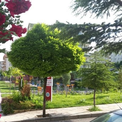 Yelkerim's profile picture. 