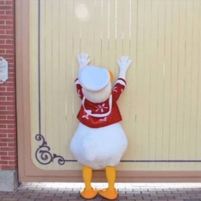 ははっドナルドだよ︎💤デイジーダックは何処..? 声はミッキー...関西弁ミッキードナルド😗ふぉろーされたい。