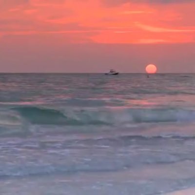 DucadosMalvoro's profile picture. 