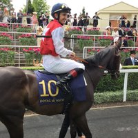aurelien Lemaitre (@lemaitre60la) 's Twitter Profile