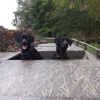 Hawkbranchfarm s (@hawkbranchfarm) 's Twitter Profile